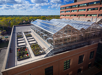 Photo of the roof of the NWQ Building Complex at UWM. The view overlooks multiple greenhouses and sections of plant material situated on the building roof.