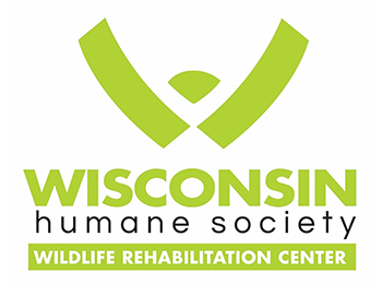 Light green logo that depicts three shapes that look somewhat like the letter W while also looking like the nose of a cat or dog. Below it, the words "Wisconsin Humane Society Wildlife Rehabilitation Center"